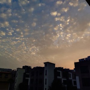 欧美人妖女女做爱视频
