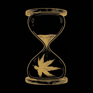 欧美人妖女女做爱视频
